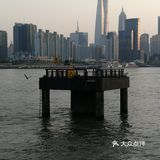 吹着夏风,目光追随着那一只只江鸥,自由地翱翔在浦江上空