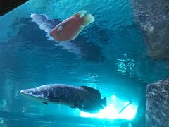 -华夏文旅海洋公园