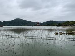 -顺峰山公园