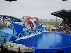 -上海海昌海洋公园