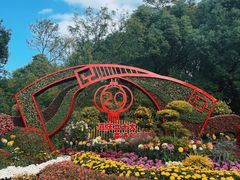 -上海共青森林公园