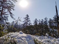 -瓦屋山景区