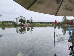 -水岸居湖景农家乐·阳澄湖大闸蟹