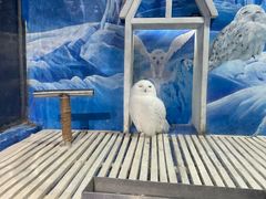 -成都浩海立方海洋公园