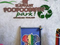 -大象粑粑造纸公园