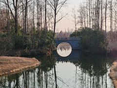 -溱湖国家湿地公园