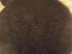 -龙猫仔乐园(惠福东路店)