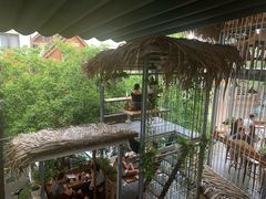 -Rainforest
