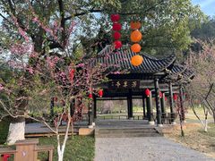 -常德桃花源景区