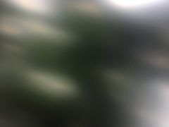 -花水湾第一村温泉大酒店
