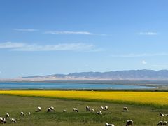 -青海湖国家重点风景名胜区