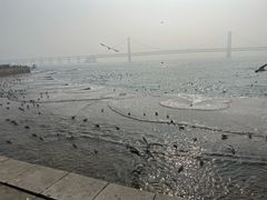 -星海广场