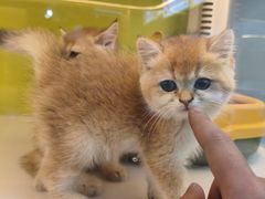 -成都银泰城