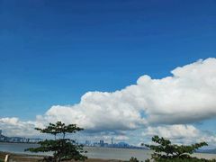 -深圳湾公园(南山区)