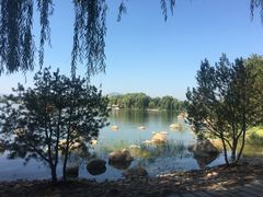 -石家庄市植物园