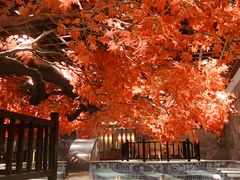 -寻梦盛唐主题水会(龙岗店)