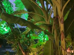 -茅草房·河畔园林火锅