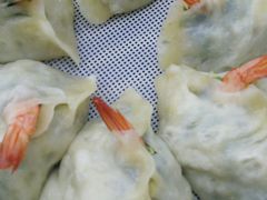 -烁佳海鲜大馅饺子