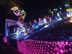 -大塘金香草谷