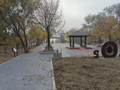-绿堤公园