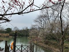 -西溪国家湿地公园