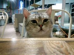 -小时光咖啡馆(开森度假森林店)
