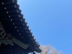 -潭柘寺景区