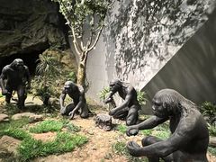 -北京周口店北京人遗址博物馆