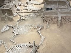 -洛阳周王城天子驾六博物馆