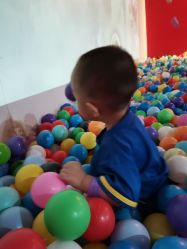 -恐龙探索乐园(磁器口店)