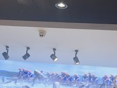 -肥鱼屯活鱼锅(惠工街店)