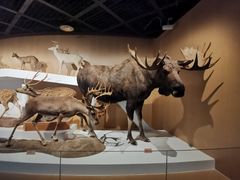 -陕西自然博物馆