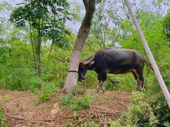 -茅山东方盐湖城景区