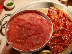 -小龙坎火锅(全球旗舰店)