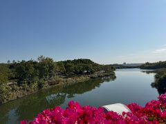 -厦门园林博览苑