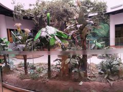 -陕西自然博物馆