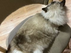 -白兔子密室(长寿路店)