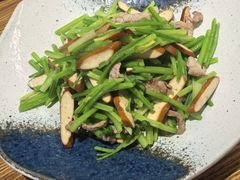 -阿巧茶庄