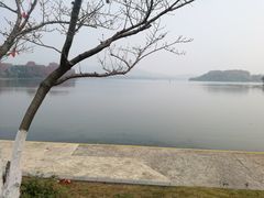 -易记皮肚面(明瓦廊店)