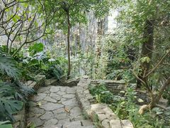 -老木棉·匠园