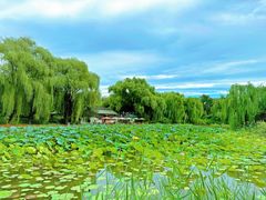 -三忘湖 SWANSEEN(柳荫公园店)