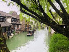 -乌镇西栅景区