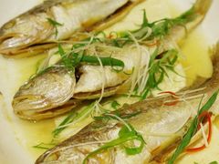 -华兴大酒楼(亿宝大厦店)