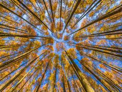 -山王坪喀斯特国家生态公园