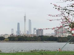 -海珠湖公园