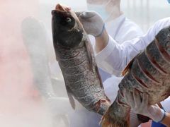 -解家河南菜(商鼎路店)