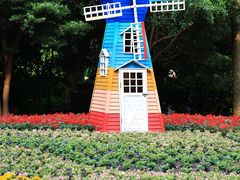 -上海共青森林公园