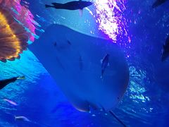 -沈阳海洋探索中心