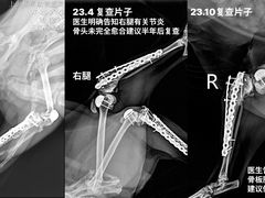 -柏萃动物医院·骨科·牙科