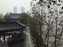 -杜甫江阁